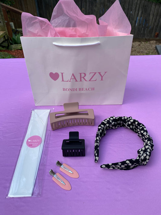 LARZY Party Bags